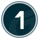 Rank badge